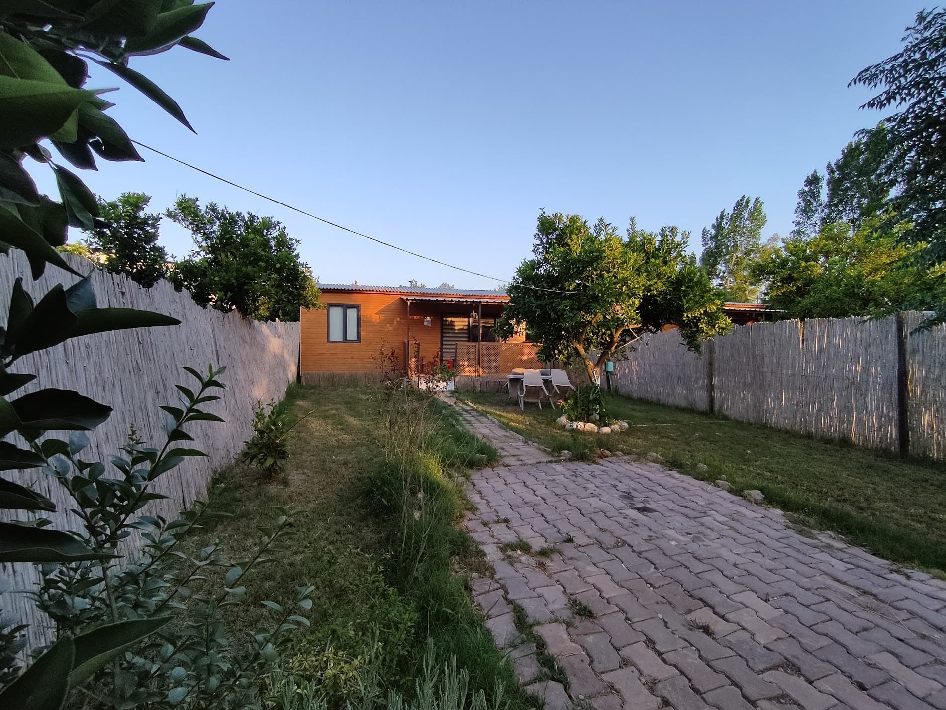 Limon Evi - Asırlık Camping ağaç ev, 5 kişilik