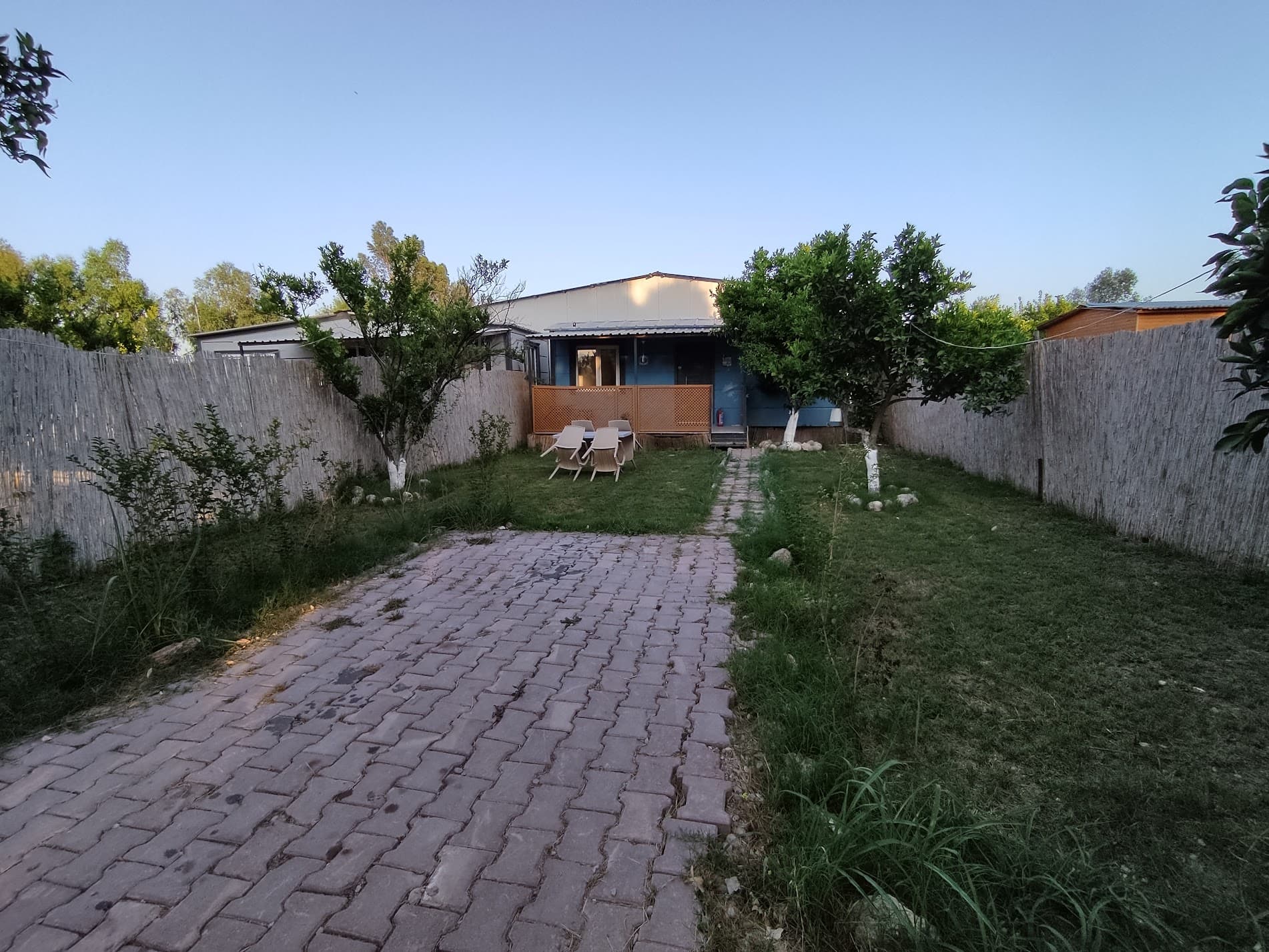 Mandalina Evi - Asırlık Camping ağaç ev, 5 kişilik