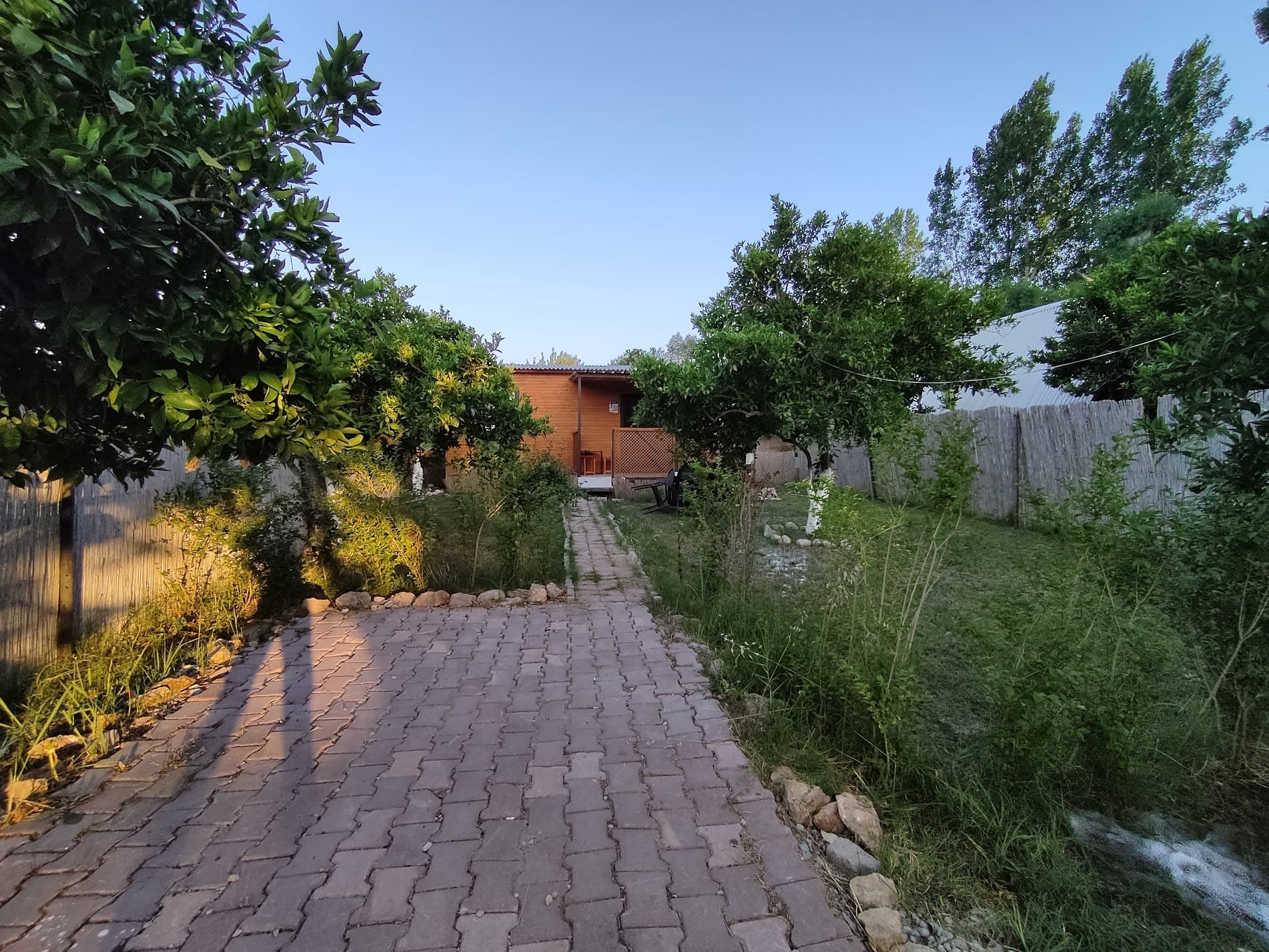 Muz Evi - Asırlık Camping ağaç ev, 5 kişilik