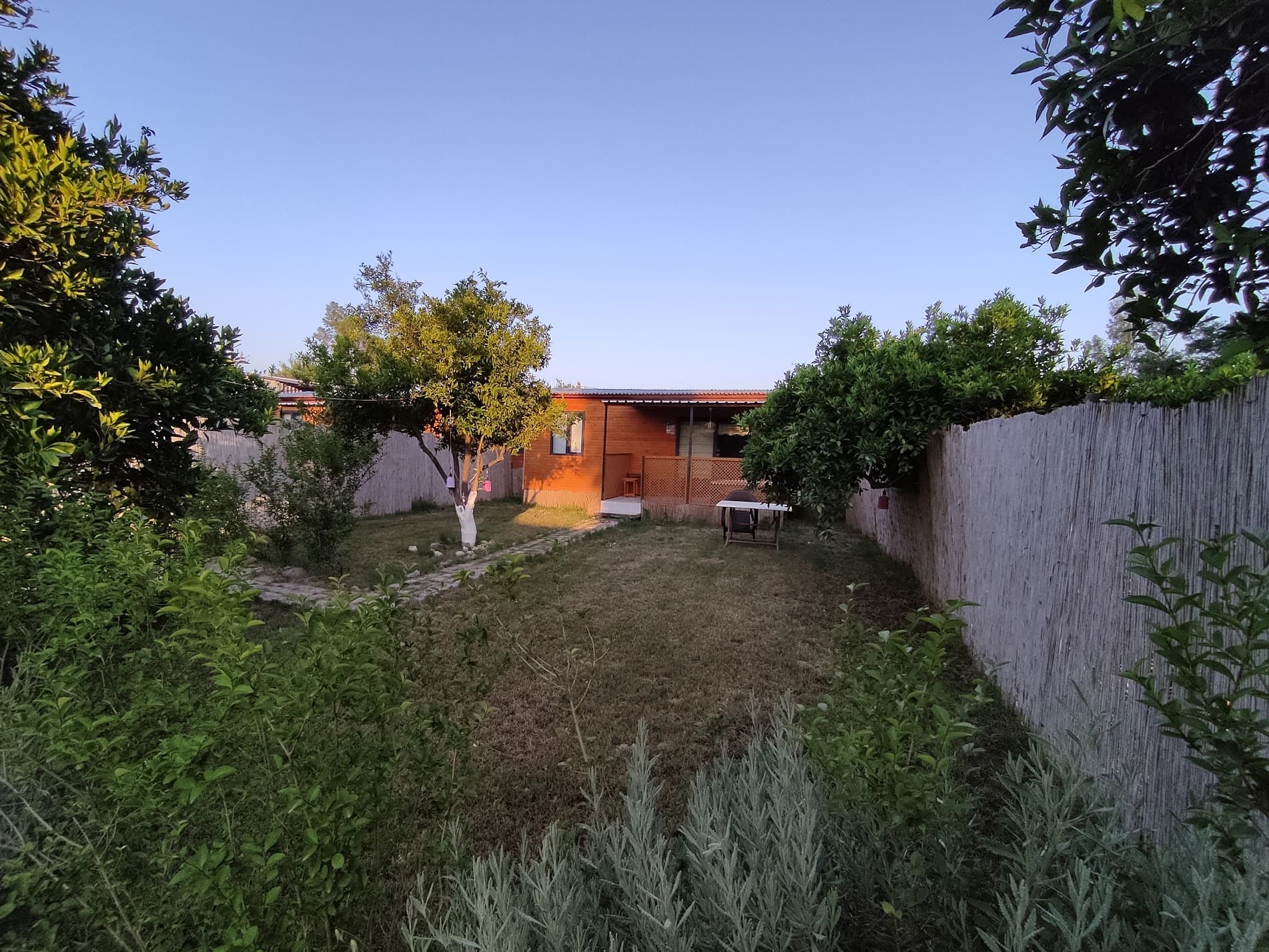 Turunç Evi - Asırlık Camping ağaç ev, 5 kişilik