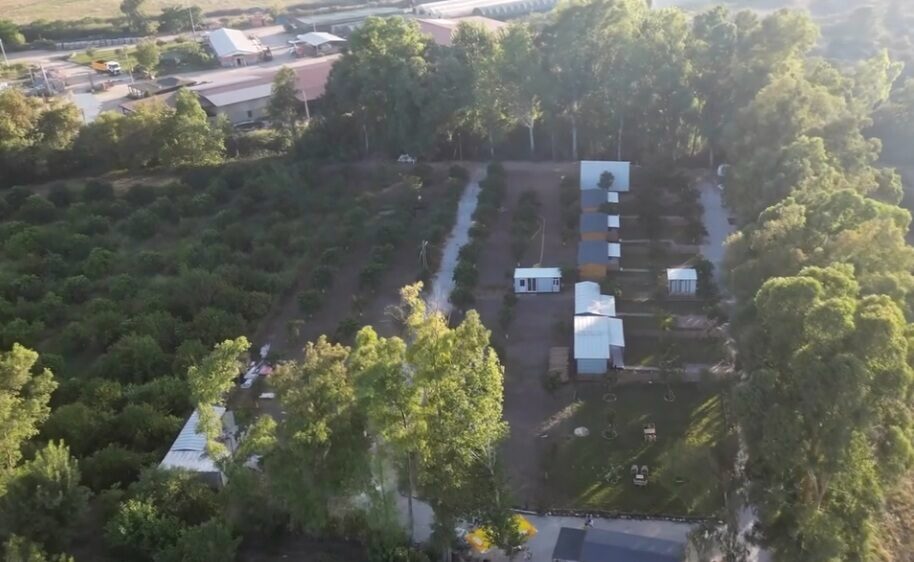 Asırlık Camping'in doğal yaşam alanı, ağaçlar ve yeşillik