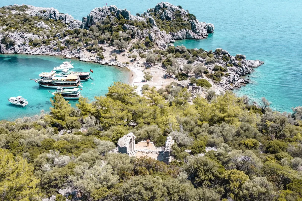 Olympos sahilinde turkuaz deniz ve çam ormanı
