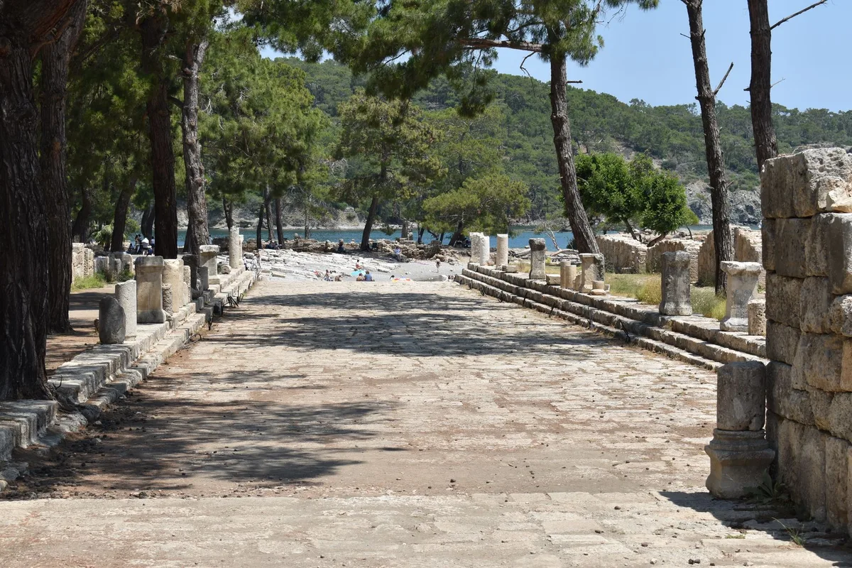 Olympos antik kenti kalıntıları ve çam ormanı