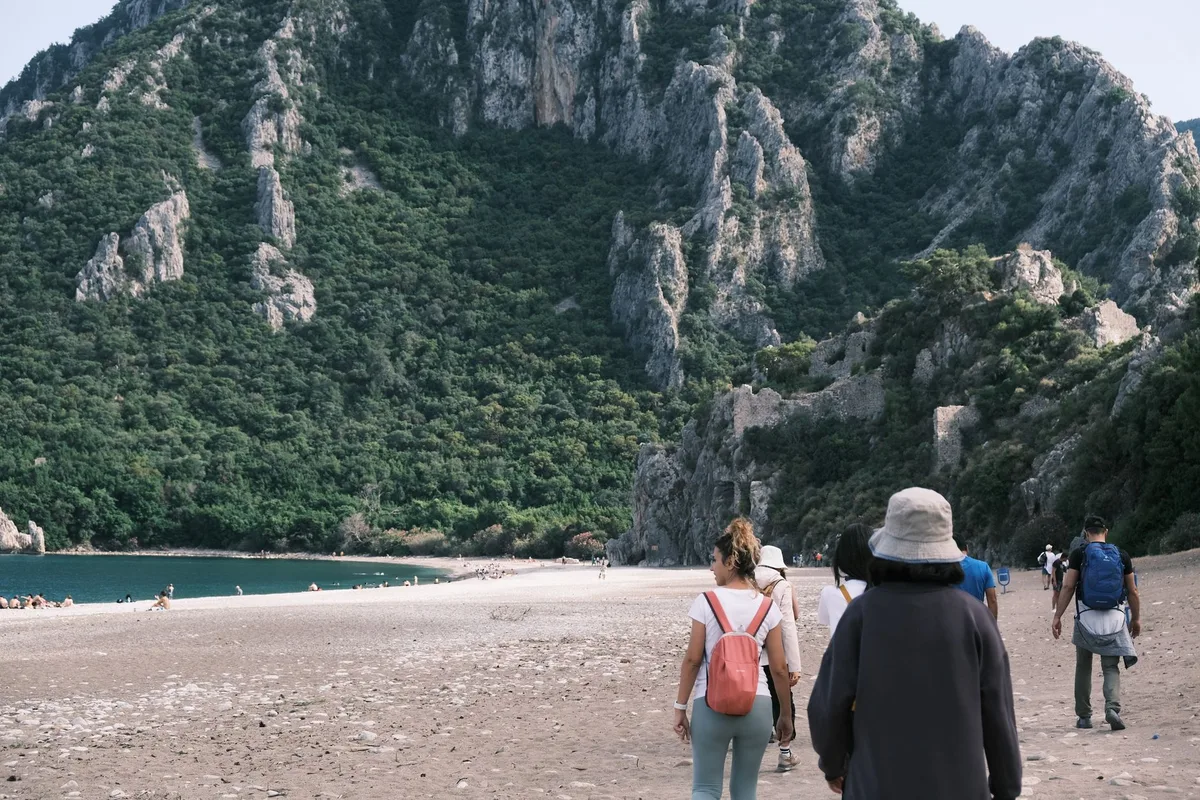 Olympos Kamp Rehberi: Ağaç Evler ve Kamp Alanları