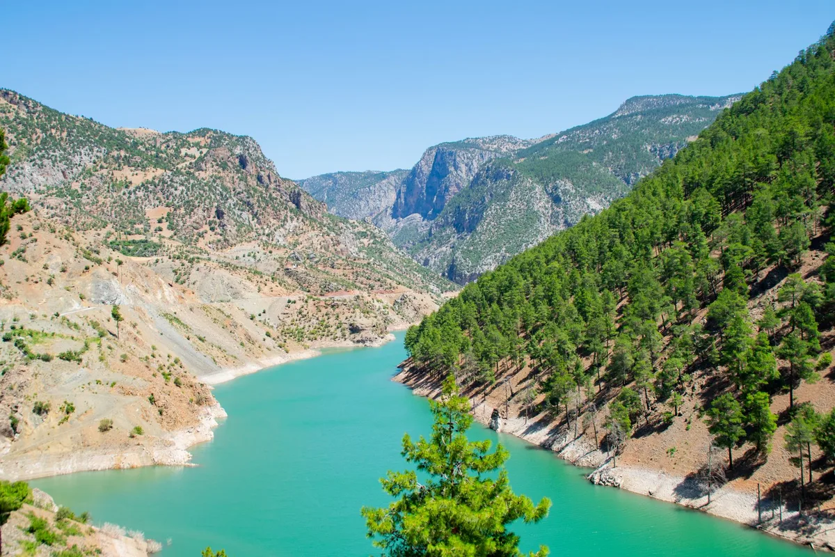 Köprülü Kanyon'da çam ormanı arasından geçen turkuaz nehir