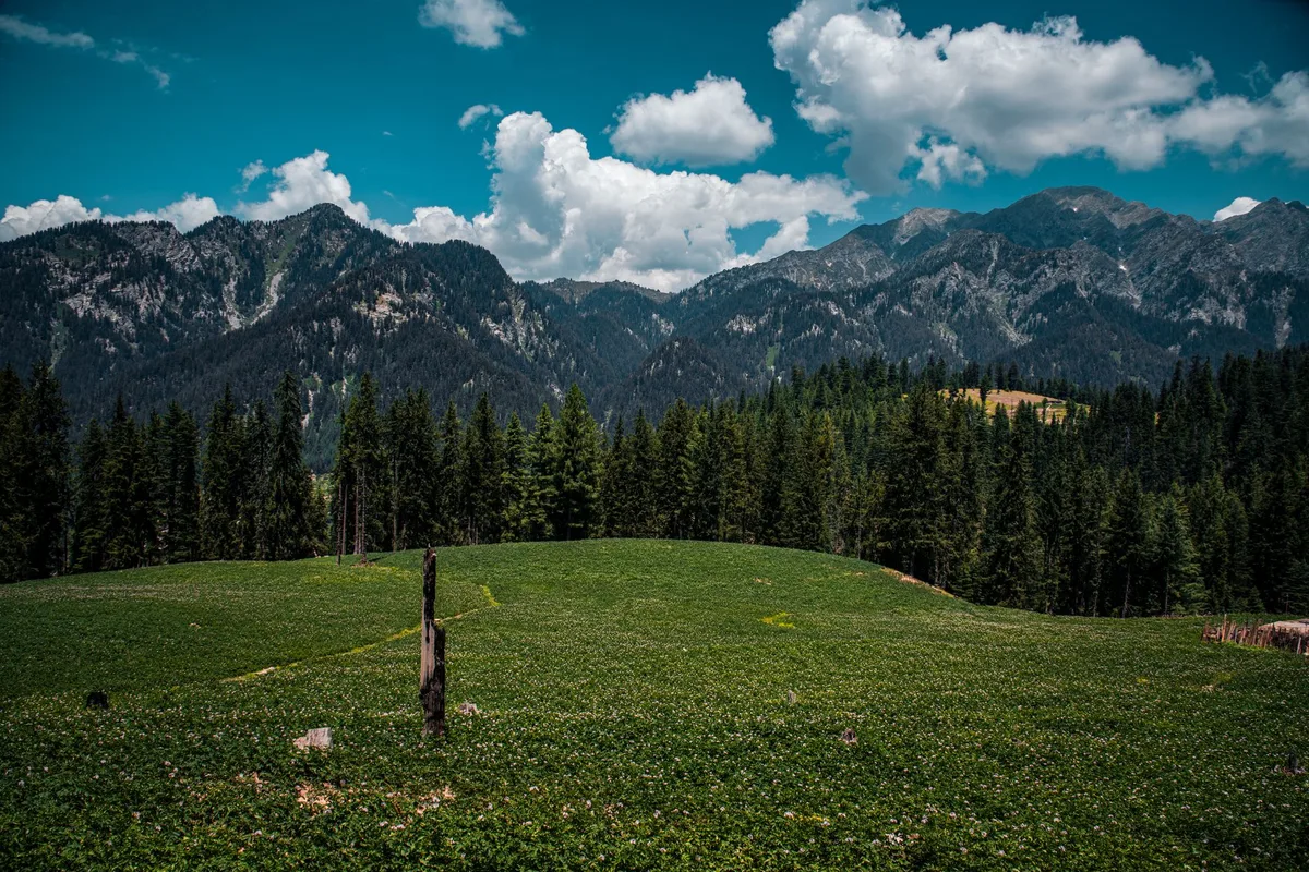 Yayla Kampı: Antalya ve Çevresi Yayla Rehberi