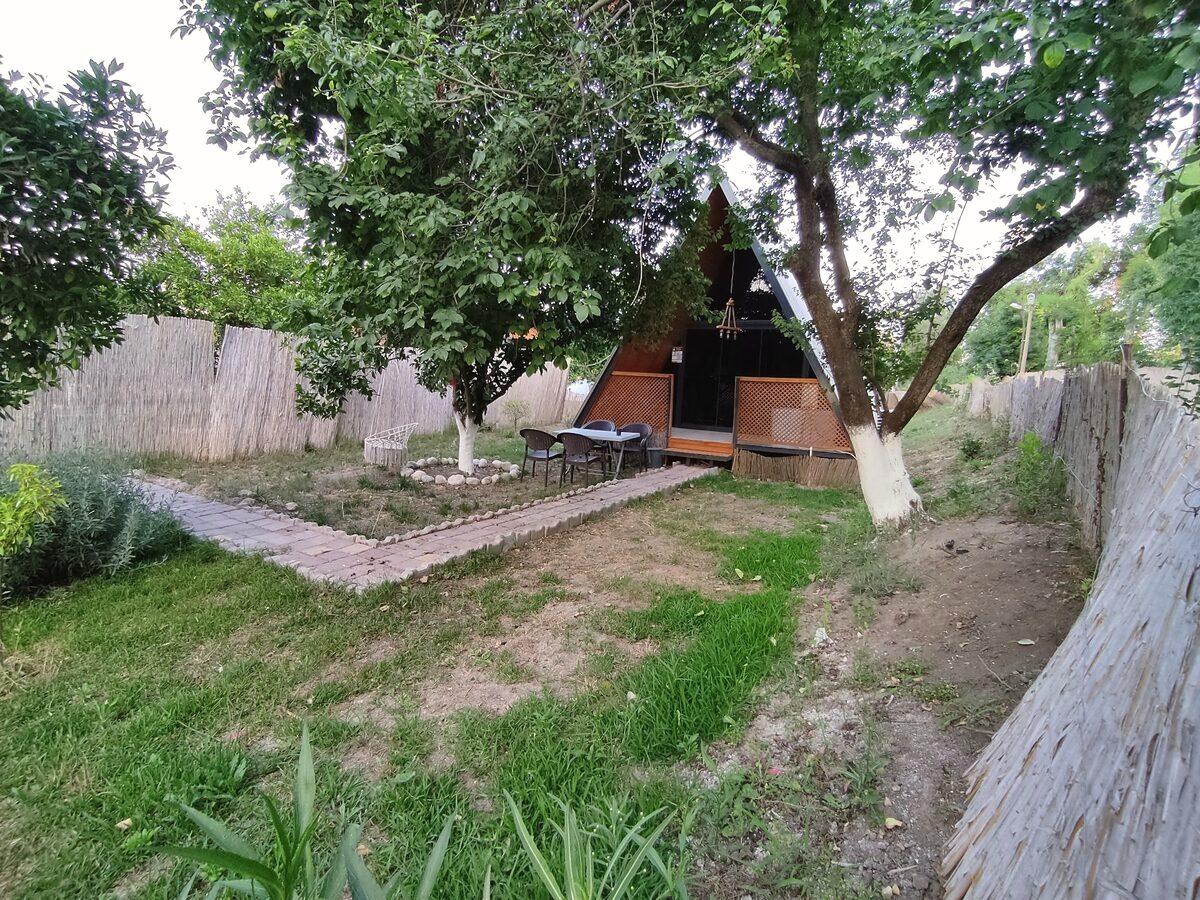 Asırlık Camping'de asırlık ağaçlar arasında üçgen çatılı ahşap bungalov (ağaç ev)